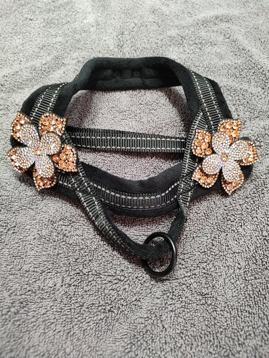 Luxury One Flower Rhinestone Pet Harness-Champaign